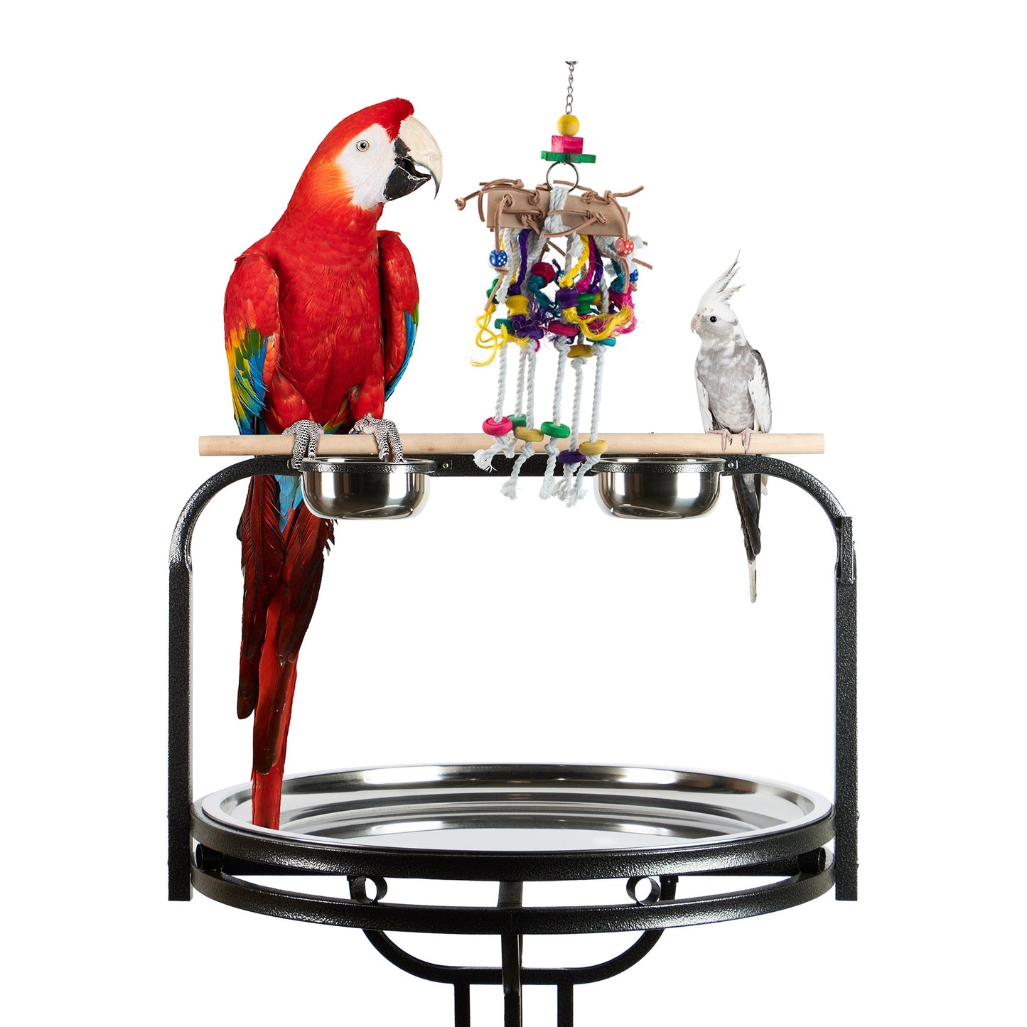 #2023 Aria Saddle Up - Chew & Climb Interactive Bird Toy