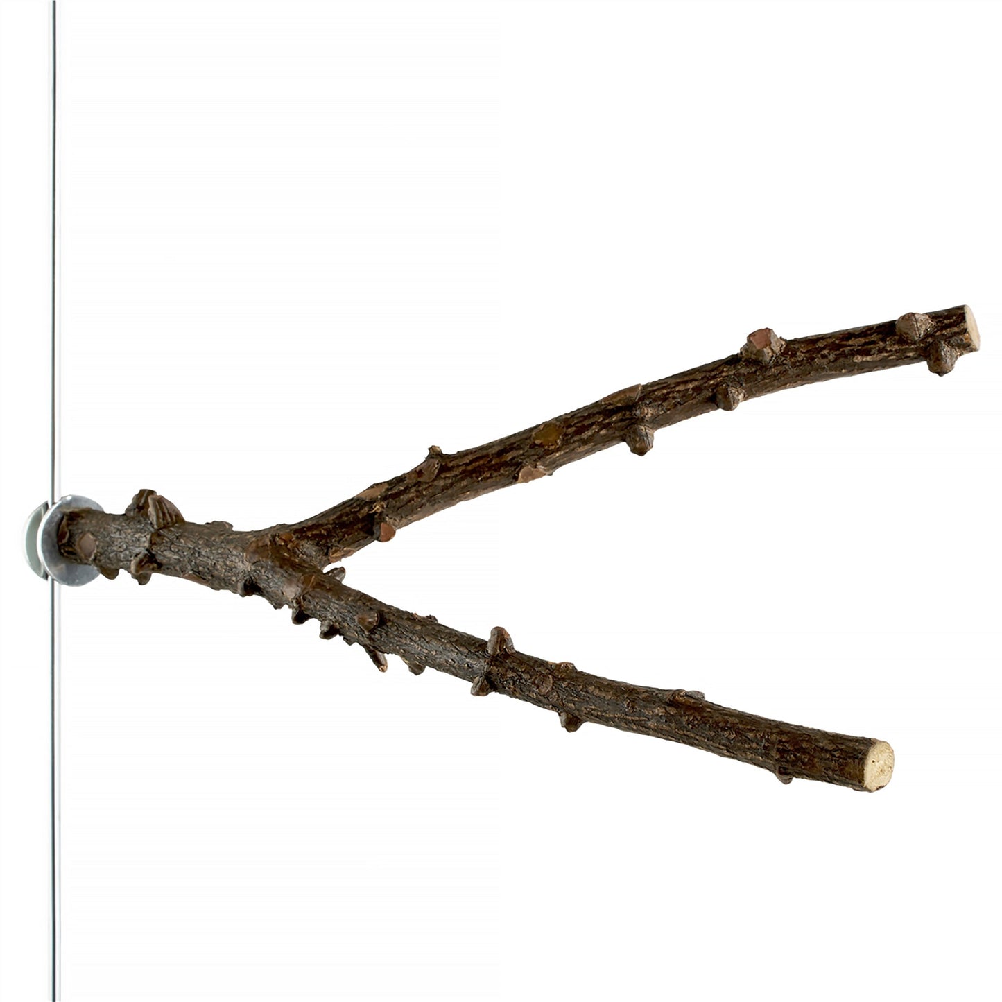 #8014 Aria Y-Not Perch 11"-12" - All-Natural Knobby Wood Y-Shaped Bird Perch