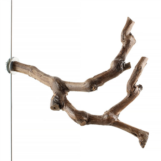 #8086 Aria Grape Vine Multi-Branch Perch 10" - Natural Wood Bird Perch