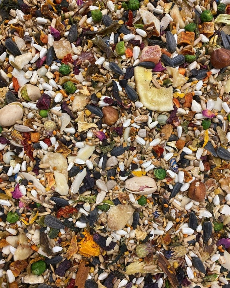 #1004 Aria Nature's Enrichment High-Variety Seed Blend for Medium Parrots - 3lb