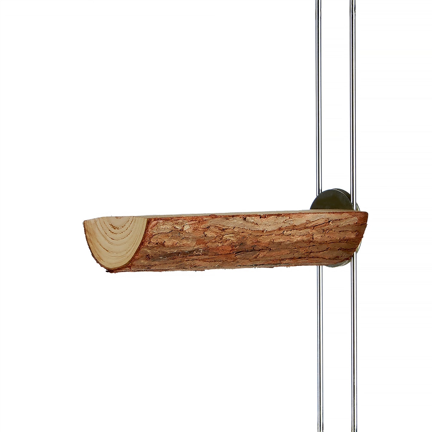 #2407 Aria 6" Flat Timber Perch with Bark