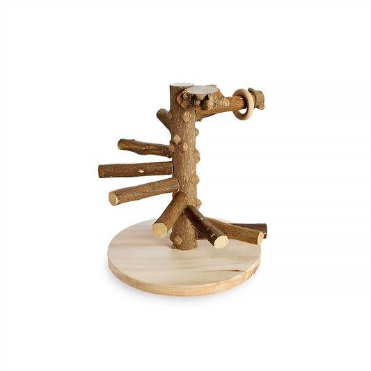 #2548 Aria Winding Steps - Natural Wood Training Stand & Perch