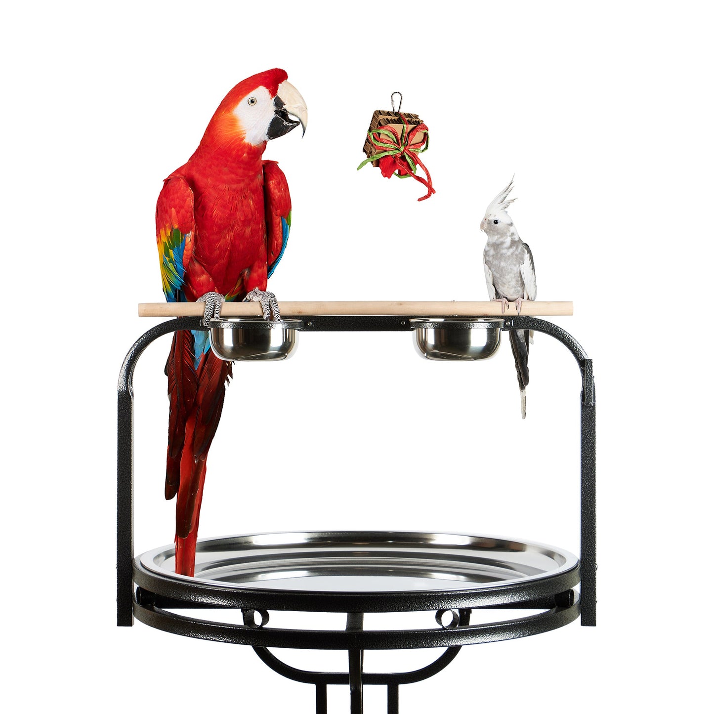 #2457 Aria Tied with a Bow (X-mas) - Chew Bird Toy
