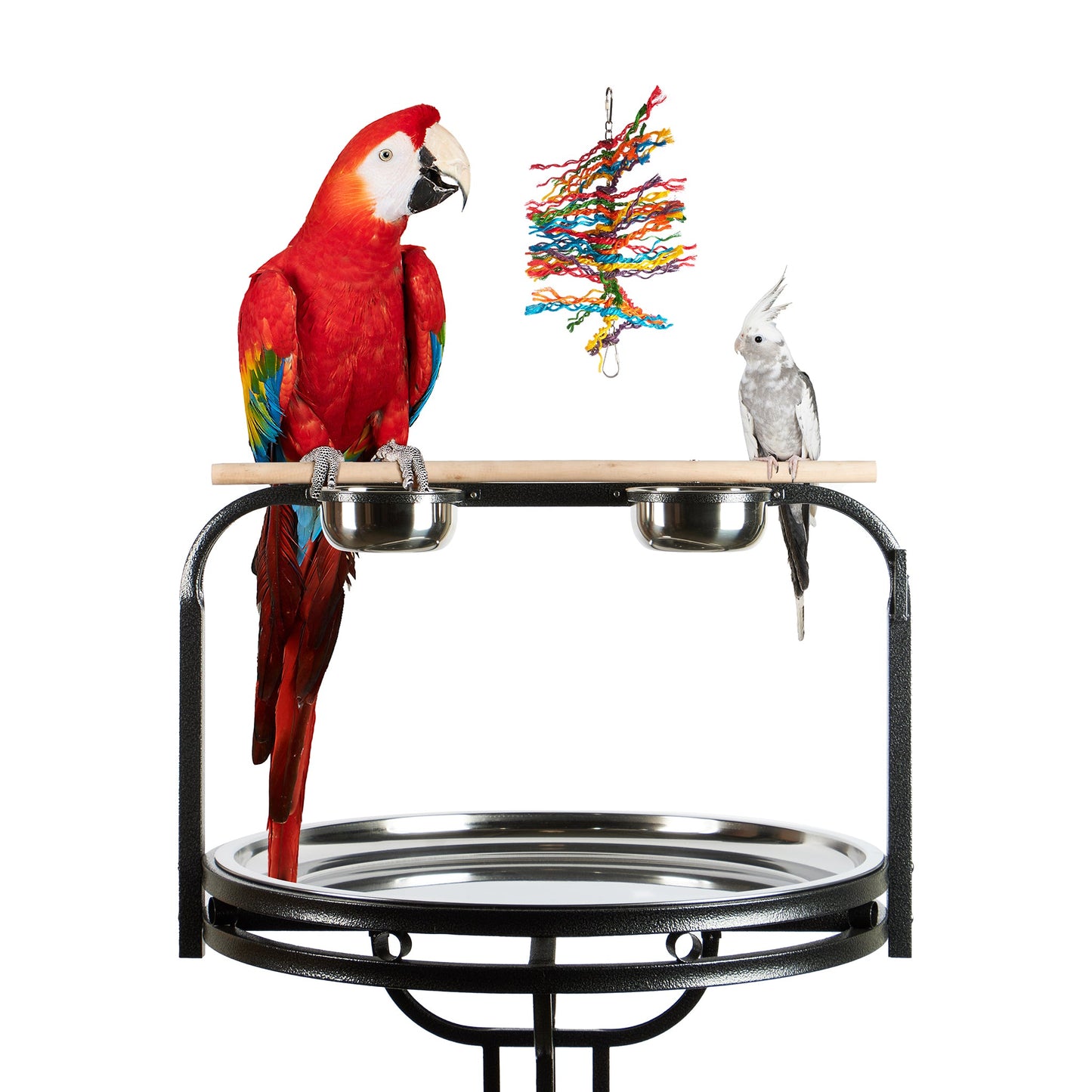 #2498 Aria Preen Queen - Chew Bird Toy