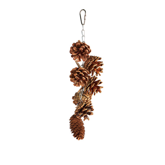 #2552 Aria Chew Cones - Chew Bird Toy