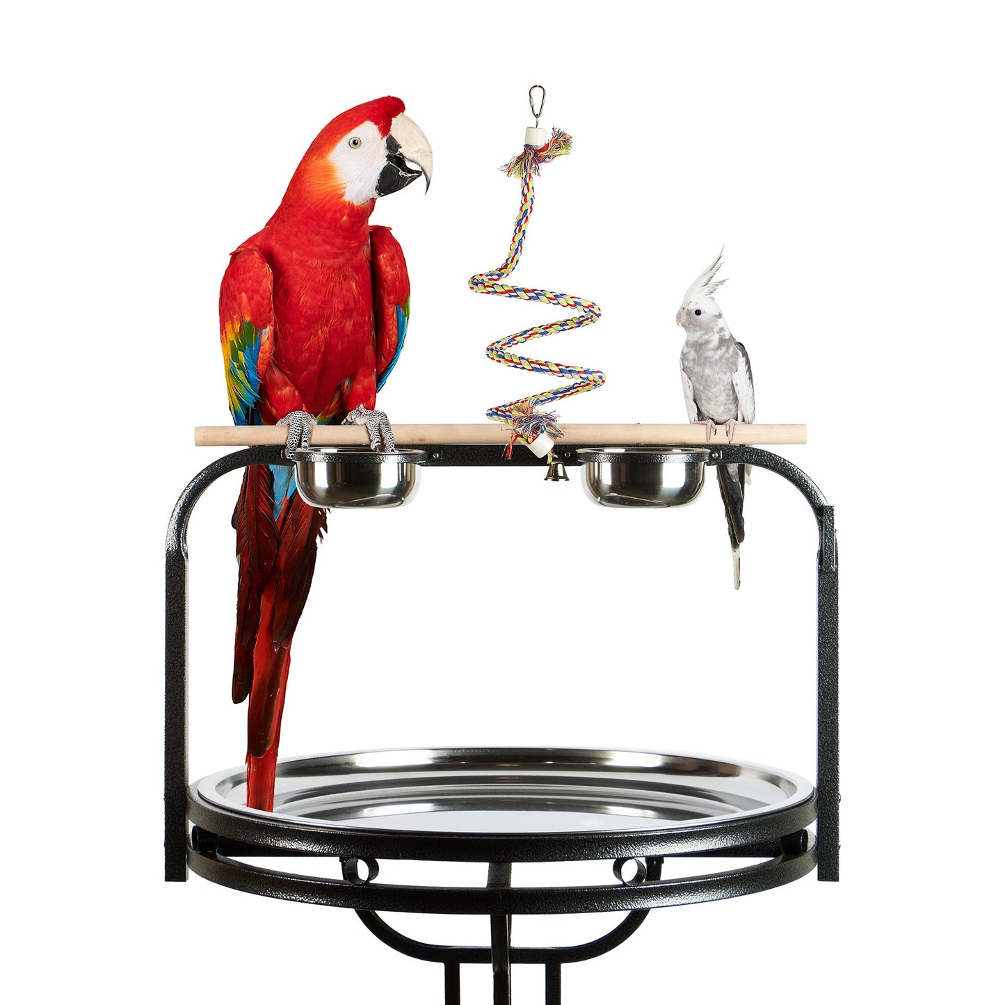 #2040 Aria Bouncy Boing Small/Medium - Cotton Bungee Swing Bird Toy