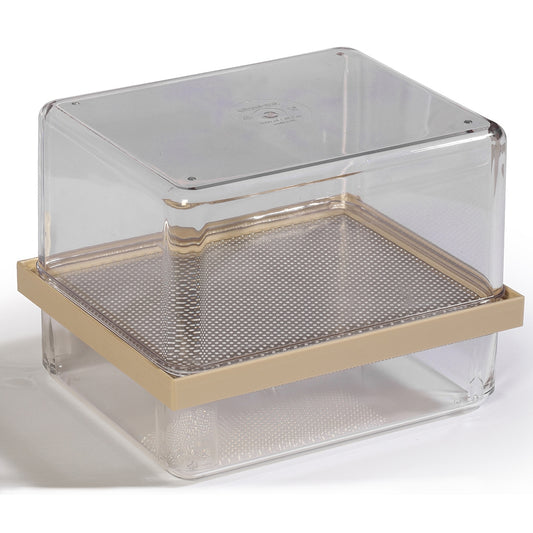 8901 Box for reptile eggs, high (19,0 x 15,5 x 15,0cm)