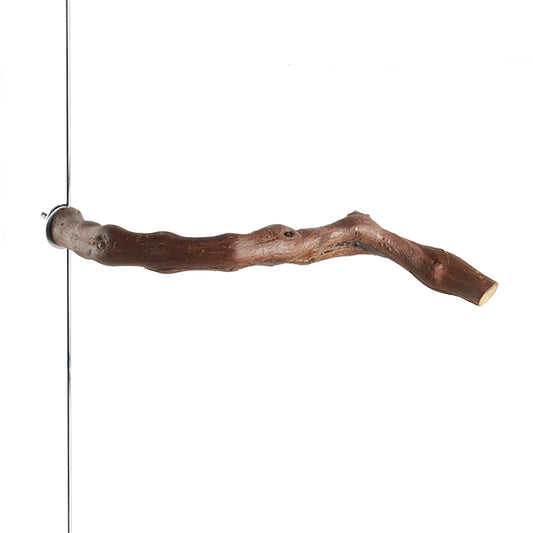 #8085 Aria Grape Vine Perch 12" - All-Natural Wood Bird Perch