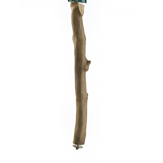 #5004 Aria Java Single Perch Large - Natural Wood Parrot Perch